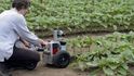 Na pokusném poli České zemědělské univerzity v Praze se 28. června konalo finále mezinárodní soutěže polních robotů. Roboti musejí předvést, jak zvládají průjezd řádky rostlin na poli, ale také jak se dokážou vyhnout překážce. Roboty také jejich vodiči vypustili do pole slunečnice, kde měli vyhledávat náhodně vysazené ostrůvky kukuřice nebo odhalit poškozené rostliny. V kategorii free style pak mladí konstruktéři předvedli, co všechno jimi sestavený stroj dokáže.