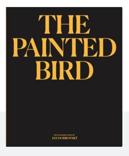 Fotografie z nové knihy The Painted Bird – Photography essay.