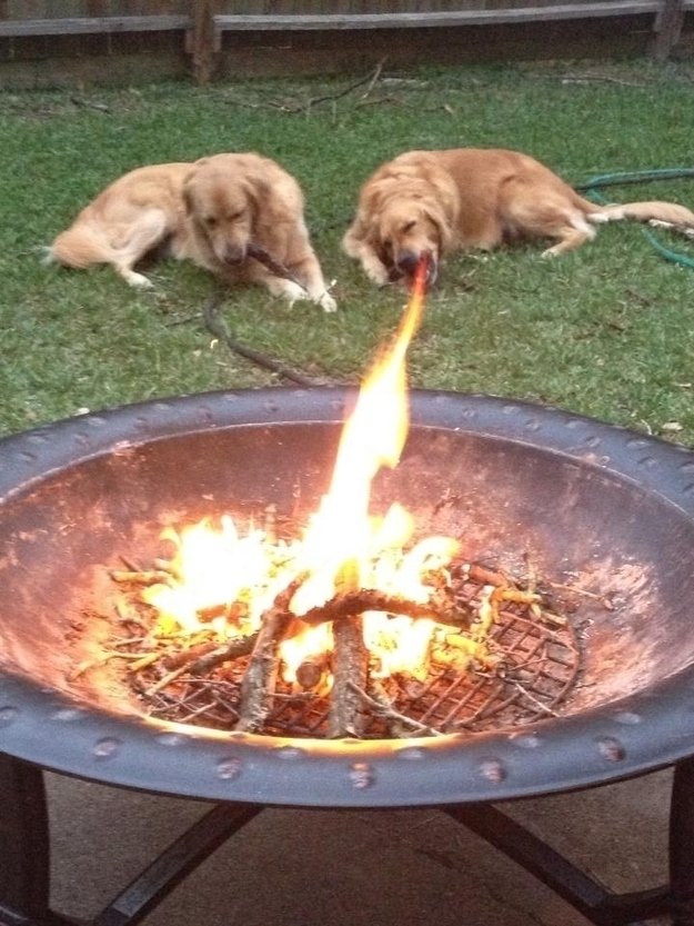 Pes s ohnivým dechem.