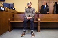 Řidič na Náchodsku vjel schválně do protisměru: Odnesla to máma s dítětem, šofér dostal 8 let