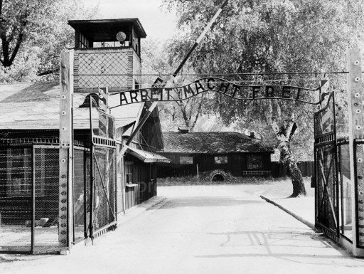 Jednotky SS byly určeny mimo jiné k hlídání koncentračních táborů.