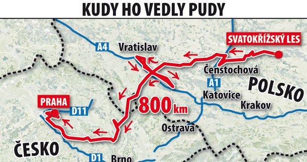 Takovou štreku Gagat z Polska do Prahy podle GPS urazil.