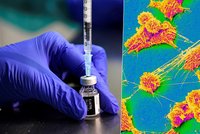 Onkologická léčba a vakcína proti covidu-19: Kdy se může očkovat pacient s nádorem?
