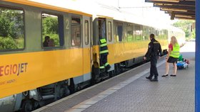 Na libeňském nádraží skončil pod vlakem člověk, 24. června 2019.