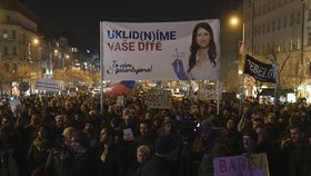 „Andrej = Krim“, „Uklid(n)íme vaše dítě“: Na Václaváku demonstrovaly tisíce lidí