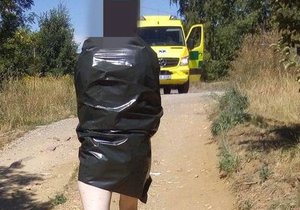 Nahá žena v Plzni vypustila zahrádkářům z klece bažanty, skončila v péči lékařů.