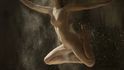 Francouzský fotograf Ludovic Florent vytvořil nádhernou séríí fotografií nahých tanečnic s názvem “Poussière d’étoiles”