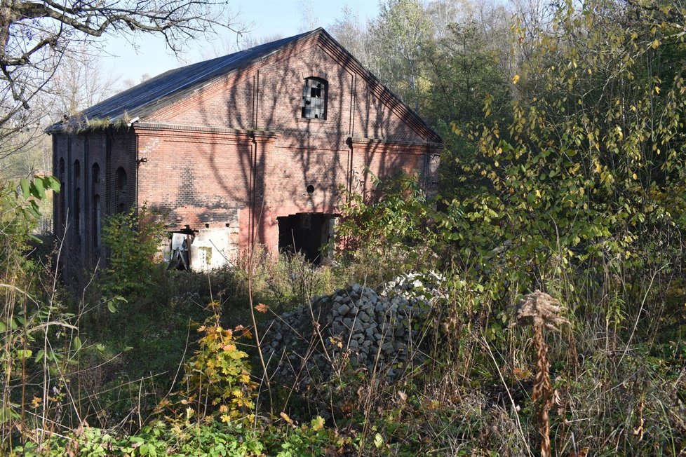 V zapadlém parčíku vedle bývalého dolu Trojice ve Slezské Ostravě se náhle objevily rozpadlé náhrobky včetně dětských.