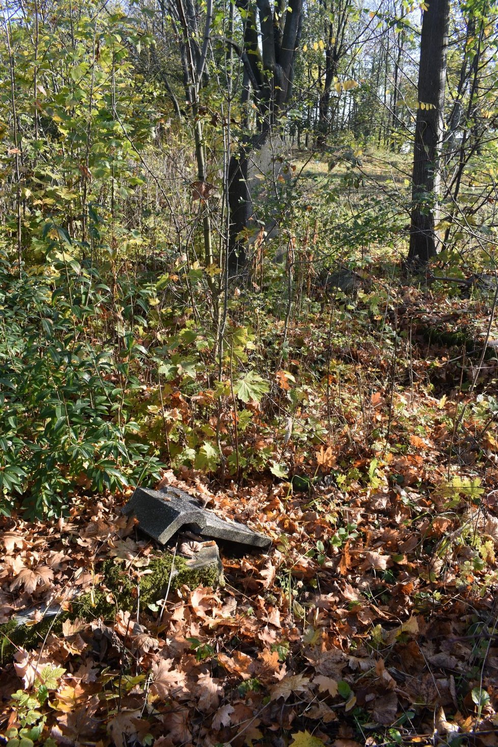 V zapadlém parčíku vedle bývalého dolu Trojice ve Slezské Ostravě se náhle objevily rozpadlé náhrobky včetně dětských.