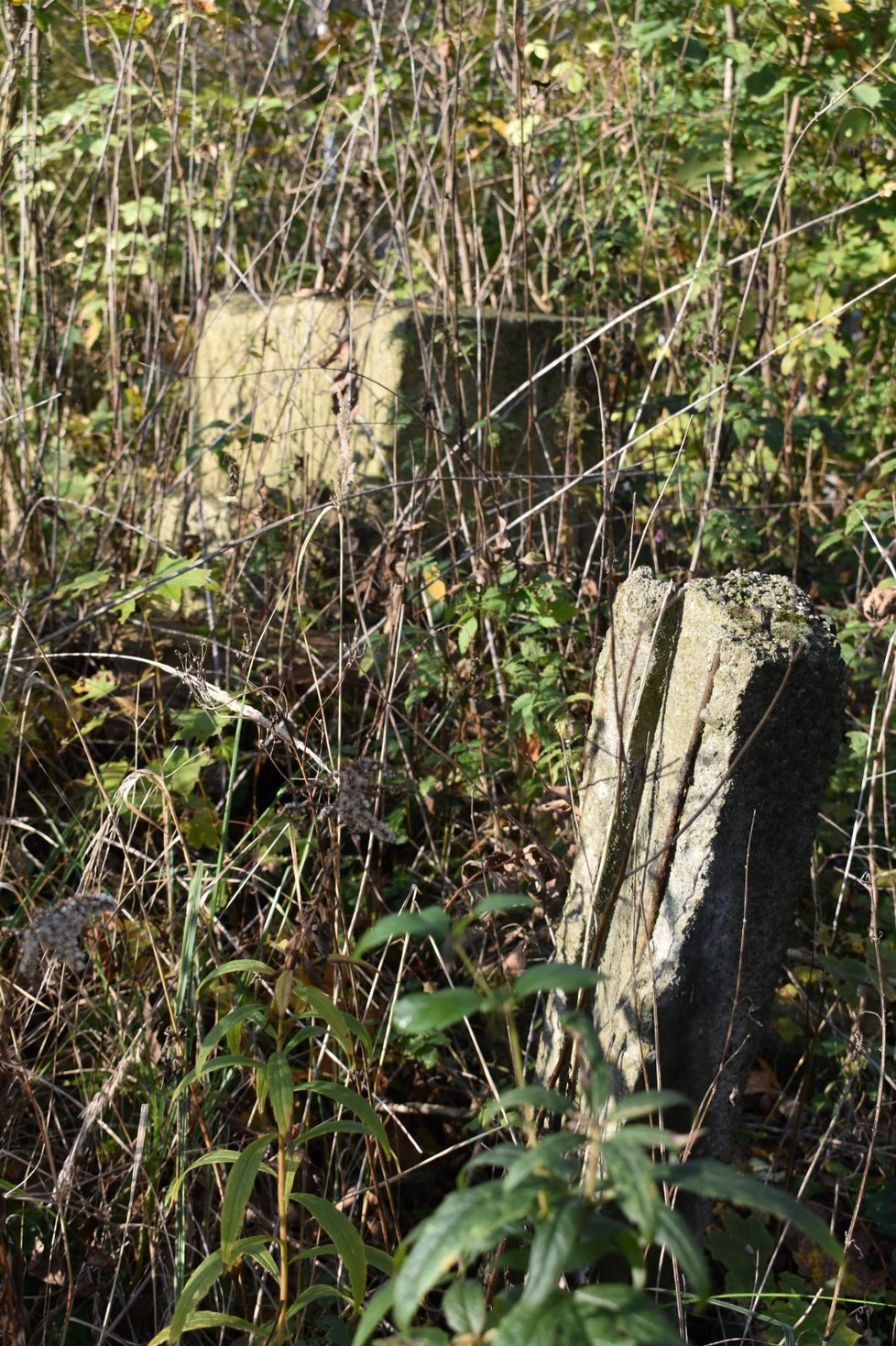 V zapadlém parčíku vedle bývalého dolu Trojice ve Slezské Ostravě se náhle objevily rozpadlé náhrobky včetně dětských.