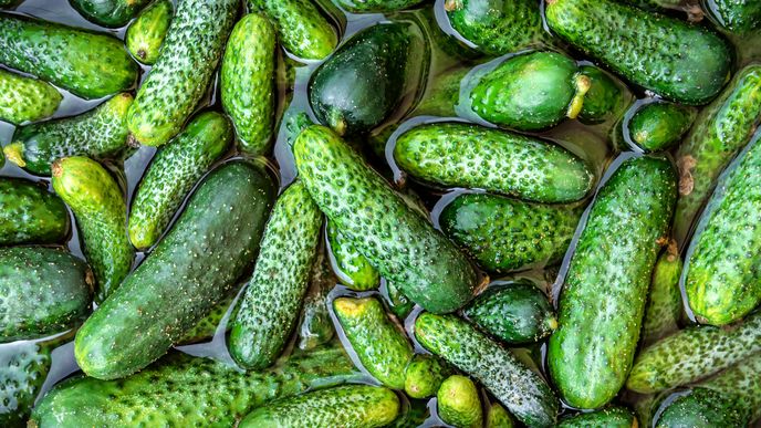 Ilustrační foto Ilustrační foto