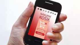 Možnosti nakupování online využívá o 39 procent více Čechů než loni