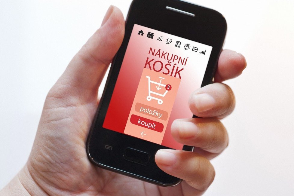 Možnosti nakupování online využívá o 39 procent více Čechů než loni