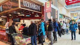 Géčko praskalo ve švech.