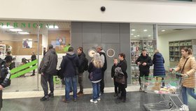 Géčko praskalo ve švech.