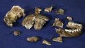 Ostatky Homo naledi nalezení v Jižní Africe.
