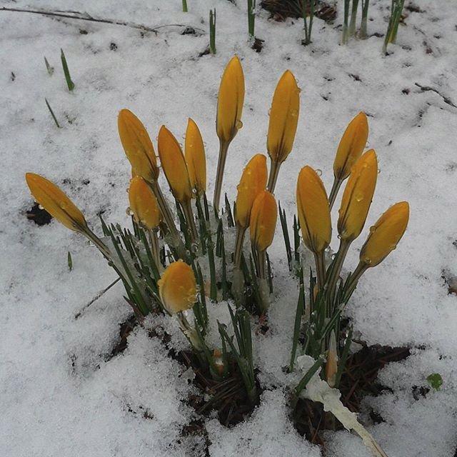 Letošní vrtkavá zima očima Čechů na Instagramu