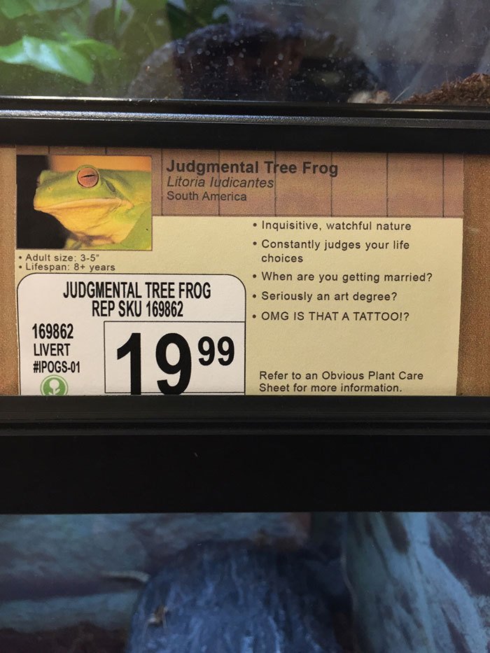 Odsuzující žába