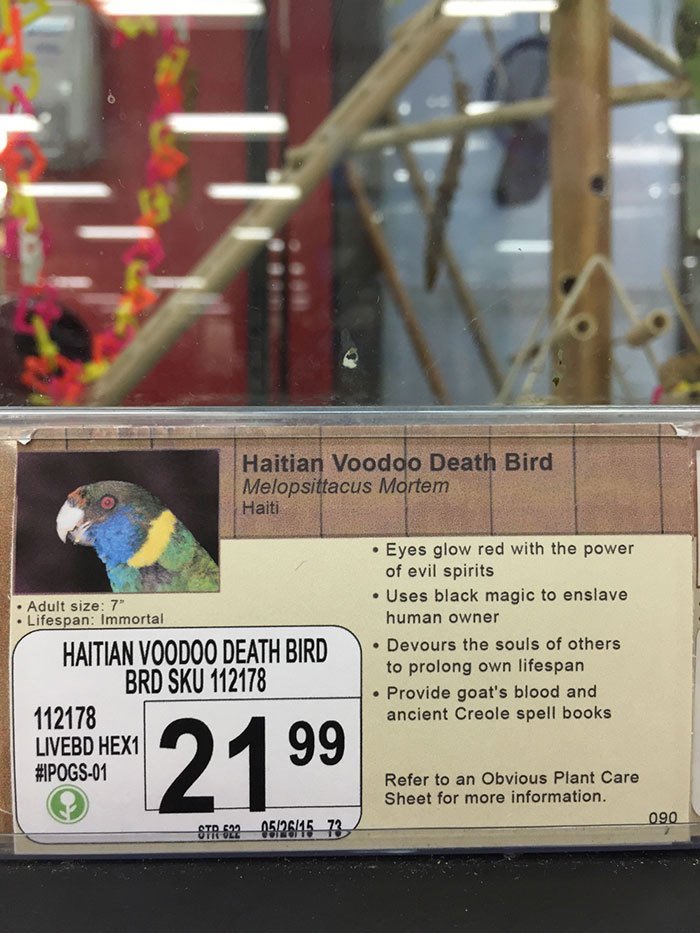 Haitský voodoo pták smrti