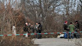 Na místi byli přivoláni kriminalisté, kteří prověří, zda by hlava namohla patřit ženě, jejíž ostatky byly nalezeny v prosince