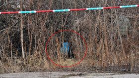 Policisté dali hlavu do igelitového pytle