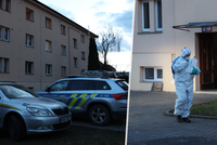 Hrůzný nález v Lysé: Dvě mrtvoly v bytě! Sousedy vyděsil zápach