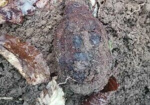 Místo hub válečné granáty: Policista na výletě našel funkční munici  