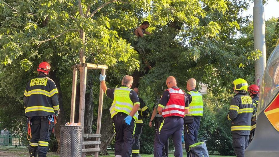 Muž vylezl na strom a vyhrožoval, že skočí. Velitel hasičů mu jeho čin rozmluvil. (23. června 2022)