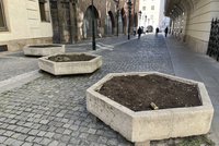 Betonové květináče v centru Prahy: Turisté do nich místo rostlin sází odpadky!