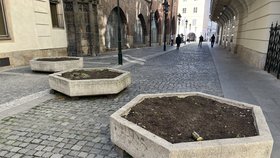 Betonové květináče v centru Prahy: Turisté do nich místo rostlin sází odpadky!