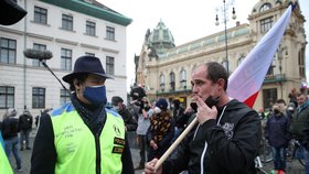 Demonstrace odpůrců vládních nařízení proti koronaviru na pražském Náměstí Republiky (28. 10. 2020)