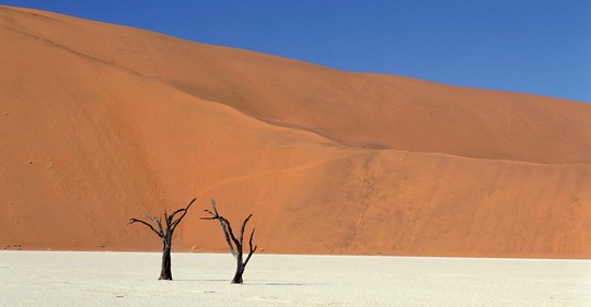 Namib: Nejstarší poušť světa vás uhrane svojí krásou