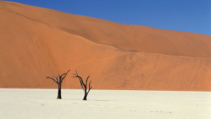 Namibská poušť Namibská poušť