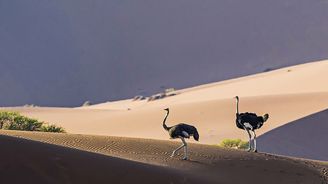 Přírodní klenot jménem Namibie: Neuvěřitelně pestrá africká země, kterou můžete objevovat i řadu let