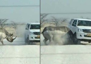 Do turistů na namibijském safari narazil nosorožec.