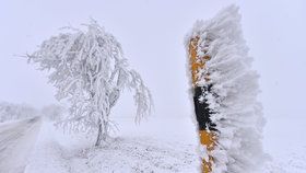 Ledovka a námraza komplikují dopravu v Česku a můžou narušit i elektrické vedení.