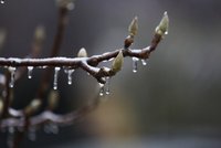 Koledníkům nejspíše zamrzne úsměv. Pražany čeká ledový velikonoční týden i se sněhem