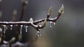 V noci mrzlo, až praštělo. Teploty by mohly klesnout pod nulu i o víkendu