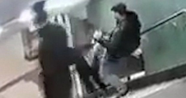 Zvířata v Berlíně: Tři muži s pivem v ruce skopli ženu ze schodů a odešli