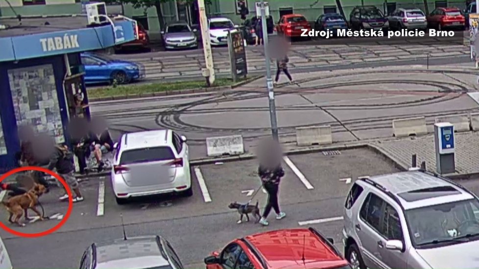 Také pes brutálního útočníka si našel svou oběť. Žena (vpravo) však stačila svého miláčka ukrýt v náručí.