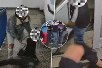 Otec se syny v České Lípě napadli několik lidí: Drsné záběry!
