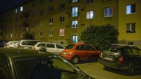 Policisté řeší incident, k němuž došlo v Mochovské ulici. Jeden muž měl druhého zbít až do bezvědomí. 13. listopad 2020.