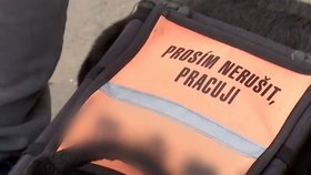 Pes v Kladně napadl asistenčního psa nevidomé ženy.