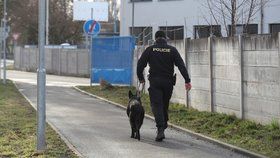 Policisté zasahovali kvůli napadení ženy v Benátkách nad Jizerou.