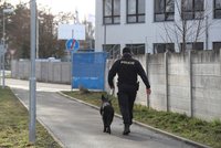 Brutální vražda chlapce (†13) v Děčíně: Podezřelí mladíci skončili ve vazbě