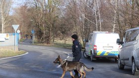 Policisté zasahovali kvůli napadení ženy v Benátkách nad Jizerou.