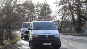 Policisté zasahovali kvůli napadení ženy v Benátkách nad Jizerou.