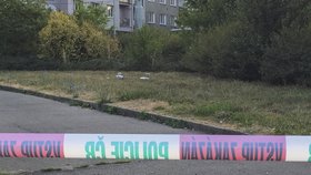 Útočník napadl na Strašnické tři muže, jednoho vážně zranil.