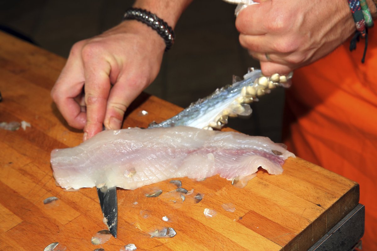 Víte, jak správně filetovat rybu? Radí šéfkuchař Michal.