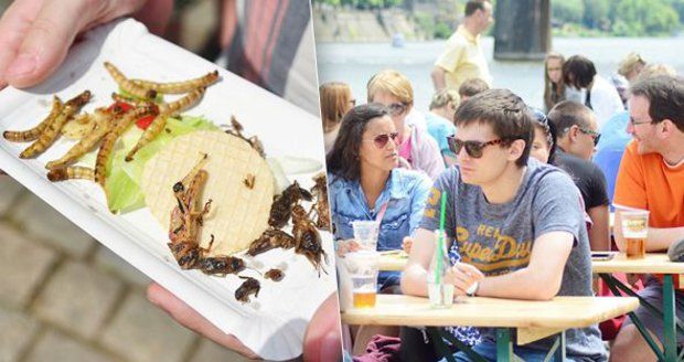 Paradox na náplavce. Největším lákadlem rybího festivalu byly hmyzí speciality